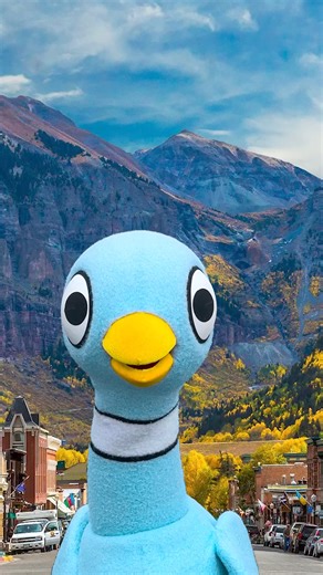 9.3K views · 206 reactions | Libraries across Colorado are celebrating MEEEEE this week! Colorado, you officially made it onto my list of my favorite 50 states! Go visit your favorite library and check out a book about ME, The Pigeon - Happy reading my feathered friends! -The Pigeon Colorado Department of Education | Mo Willems Workshop | Facebook