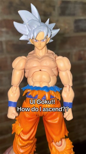 Brutal Reissue of UI Goku!
