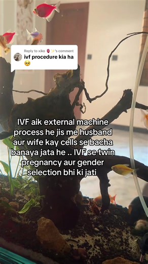 Understanding IVF: Process, Twin Pregnancies, and Gender Selection