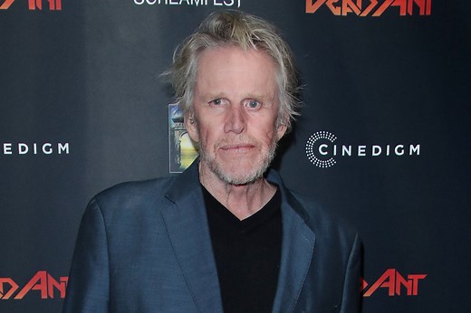 Gary Busey says he died and came back after 1988 motorcycle crash