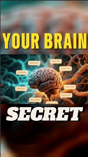 What Happens To Your Brain When You Sleep?