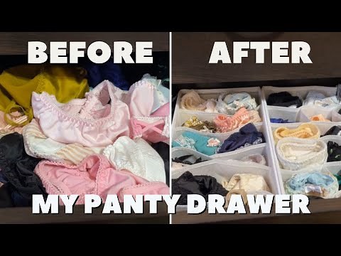 My New Closet Drawer PLUS Underwear Panty Organizer Drawer #|2 Lingerie Underwear Collection