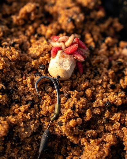 21K views · 394 reactions | It is that time of year where Henry’s maximum attraction and minimum food tactic really comes into its own  It is a proven tactic… but every winter session is different. A thought-process that has Henry starting each session hedging his bets, fishing both the winter mix and natural zigs, then going all-in on whatever proves to be the winning approach on the day 類 #NashTackle #MakeItHappen #WinterCarpFishing #Carp #CarpFishing | Nash Tackle | Facebook