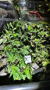 This one’s getting worked on now. | Martin Urbex | Facebook