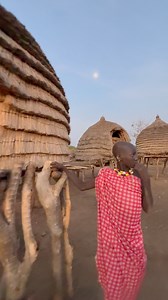 158K views · 1.6K reactions | The Toposa families of southeastern South Sudan build circular dwellings made of sticks, mud, and thatch. Their houses have conical grass roofs and are grouped into family compounds fenced with thorny branches to protect livestock. Within the compound are sleeping huts, raised granaries, and corrals. The architecture reflects their nomadic pastoral lifestyle and the need to adapt to the hot, dry climate. #inspirationofafrica | Quim Fàbregas | Facebook