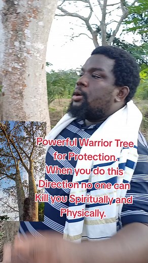 Empowering Warrior Tree: Ultimate Protection from Spiritual and Physical Harm