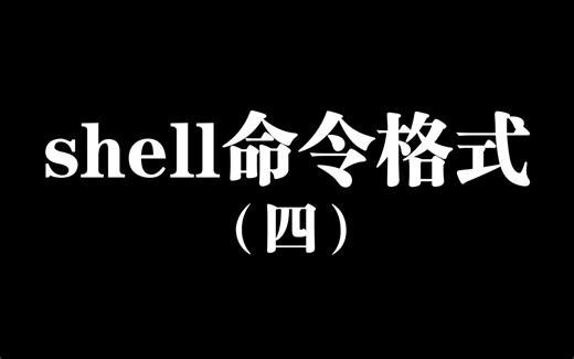 玩转Ubuntu：Shell命令格式，轻松搞定！