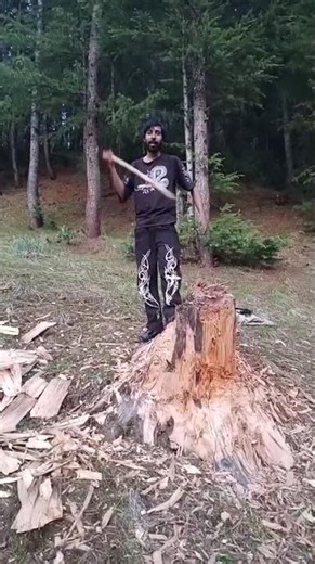 jungle kaa raja. #junglelife #butifyoucloseyoureyes #satisfying #walkinspiritoftheholyspirit #ptiof