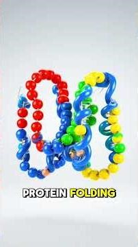 The Protein Folding Problem