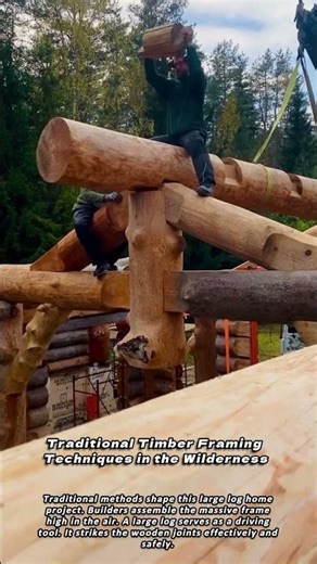Traditional Timber Framing Techniques in the Wilderness