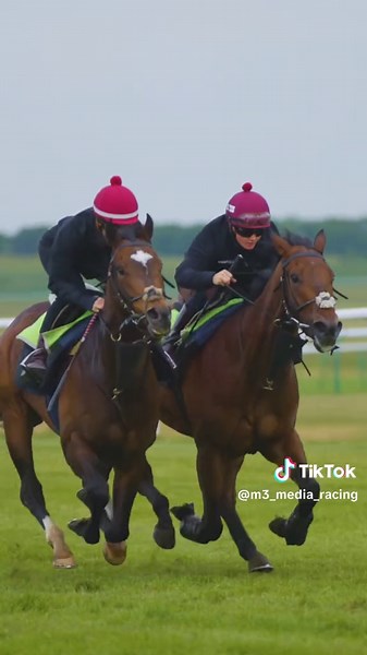 Leading Female Jockeys Showcase Talent at Newmarket