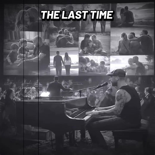 The Bear Essentials Podcast (@the_bear_essentials)’s videos with original sound - The Bear Essentials Podcast