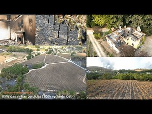 Donate to Help Joan Tavares: Rebuilding a Life Among Vines and Fire, organized by Alejandra Dlfino