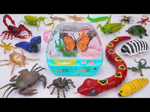 ZURU ROBO ALIVE COLLECTION | Robo Snake, Robo Butterfly, Ladybug, Aquarium Compilation| ASMR
