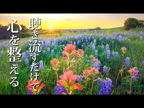 Relaxing Music - Piano Music that EasesEmotional Pain Just by Listening to it