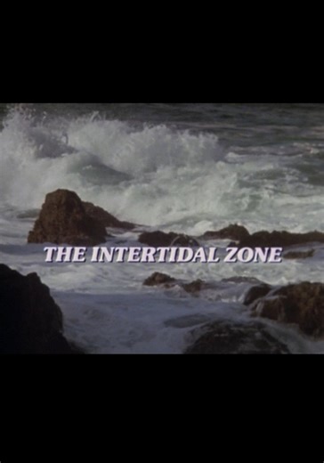 The Intertidal Zone - movie: watch streaming online