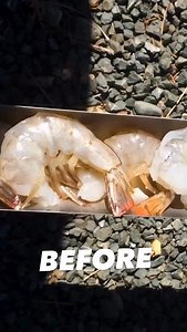 Food in a solar oven with a before and after. Off-grid, vacation, any adventure you’re on, the sun will keep you fed! #solar #cooking #food | GoSun