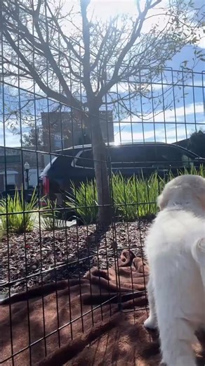 313K views · 3.6K reactions | All you need is a blanket Most...