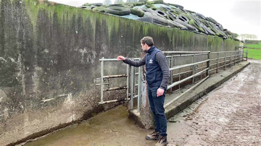 Spring-Loaded Ped Gate: Simple and Safe Farming Solution