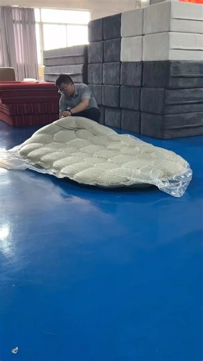 xunstore on Instagram: "招商银行 收款人：蔡子新 卡号：6214837525293589 开户行：招商银行惠州分行惠城支行"