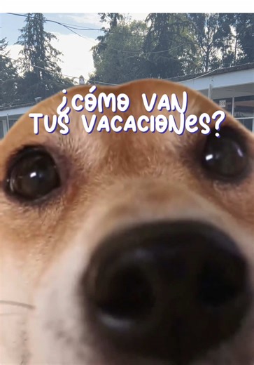 Memes sobre Conalep para tus vacaciones