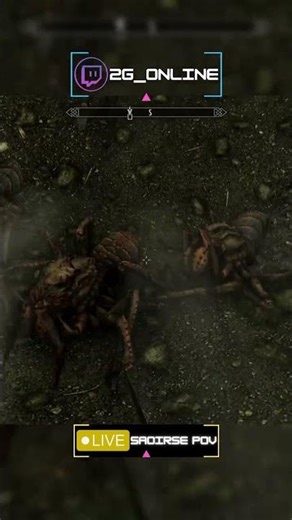 She Didn't Expect THAT Many Spiders | Skyrim Co-op Legends - Ep.1 - #shorts