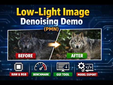 Practical Low-Light Image Denoising using PMN | Full RAW & RGB Pipeline | Final Presentation