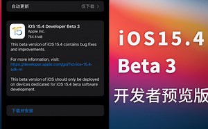 iOS 15.4 beta3 开发者预览版 问题修复及升级建议