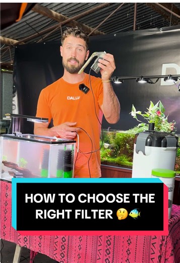 How to Choose the Right Aquarium Filtration System
