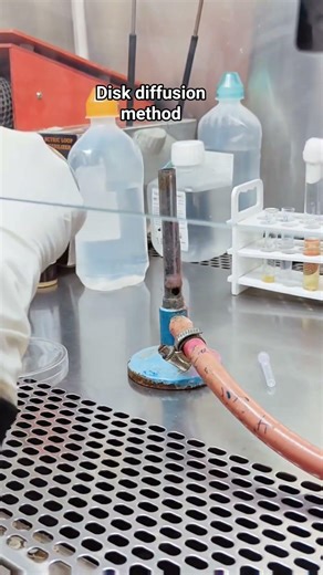 Disk Diffusion method #antibiotics