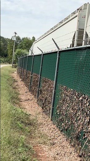 Swamp Rabbit Trail cleanup - Part 3