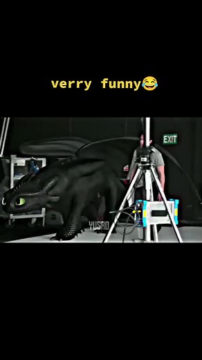 Toothless: How to Train Your Dragon in Real Life