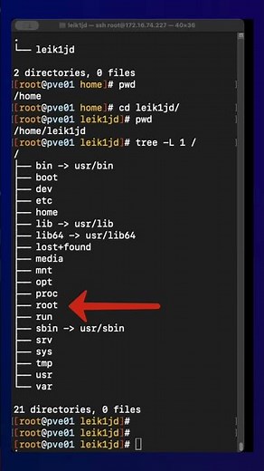 What is the /home directory In Linux?
