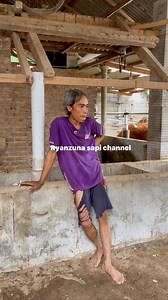 420K views · 3.5K reactions | Peternak ini dapat rejeki nomplok sapinya beranak kembar | RYAN ZUNA SAPI Channel | Facebook