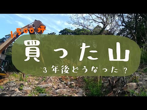 【山開拓 #14】山買いました…3年後どうなったのか… | 永遠に草刈りすることになる…