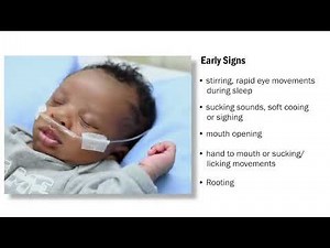 Awesome Breastfeeding Latch Videos To Help Your Baby Latch On Properly!