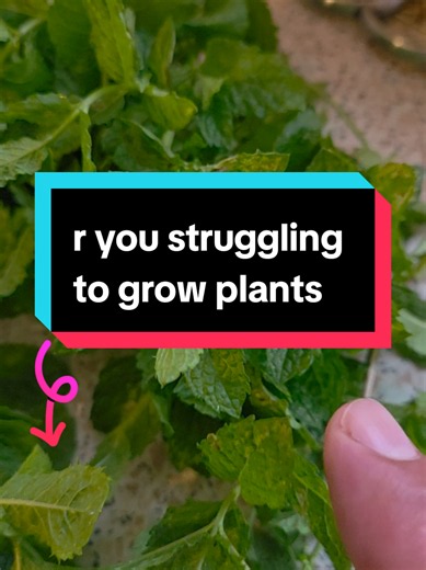 Grow Your Own Garden: Easy Compost Tips for Garden Lovers