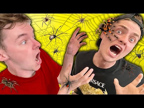 I GOT ATTACKED BY A GIANT SPIDER!!