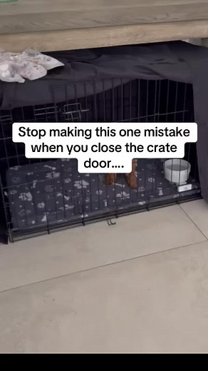 Are you making this crate training mistake? 😳 It could be the reason your puppy panics! Closing the door and leaving right away can trigger their anxiety and teach them that a closed door is a bad thing. The goal is to show them that a closed door is no big deal. Try the 5-10-30 Second Rule, if you’ve not heard of this, comment below and I will share more on this tomorrow! #cratetraining #puppytraining #puppytips #dogtrainingtips | Doodle Doggies