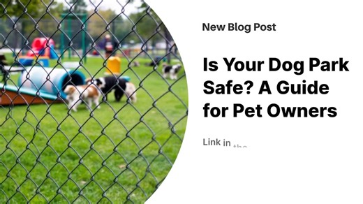 1.6K views · 11 reactions | Dog parks pose serious safety risks that...