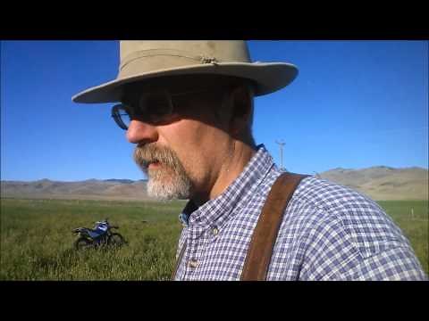 Sainfoin - an Alternative to GMO Alfalfa at Alderspring
