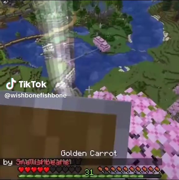 Exploring the Differences in Characters from 3rd Life