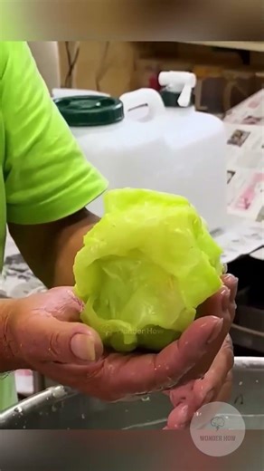 Artificial Cabbage ! #facts #interesting #amazing