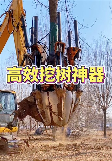 #treespade #treespade machine #treespade for sale #tree mover China's tree digger