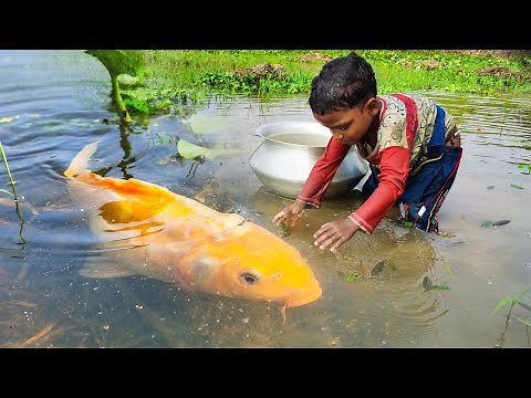 Best Hand Fishing Video | Traditional Boy Catch Big Fish by Hand In River