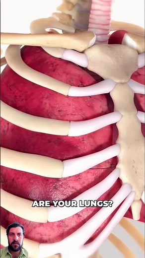 Bronchoscopy (3D Animation)