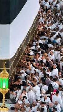 Zulhijjah Mein Hajj Ke 5 Din | 8, 9, 10, 11, 12 Zulhijjah Explained 🕋✨#nobatidao #trend #islamic