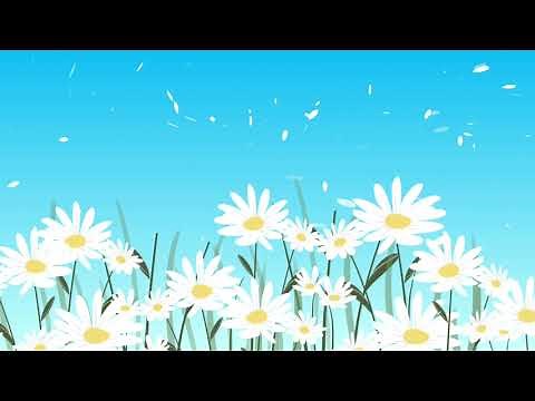 🌸🎶 Spring White Daisies Moving in the Wind Kids Cartoon Background