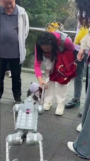 Robot Dog Shows Love to Everyone ❤️🤖 | Amazing Robot #robotdog