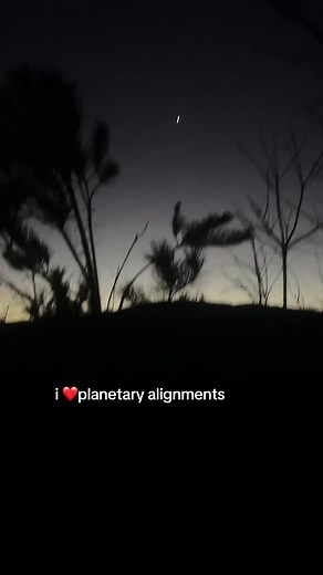 the nerd in me is thriving #planetaryalignment #stars #orionconstellation #space #fyp